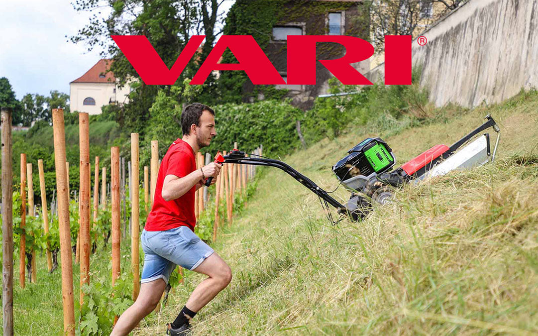 VARI Banner