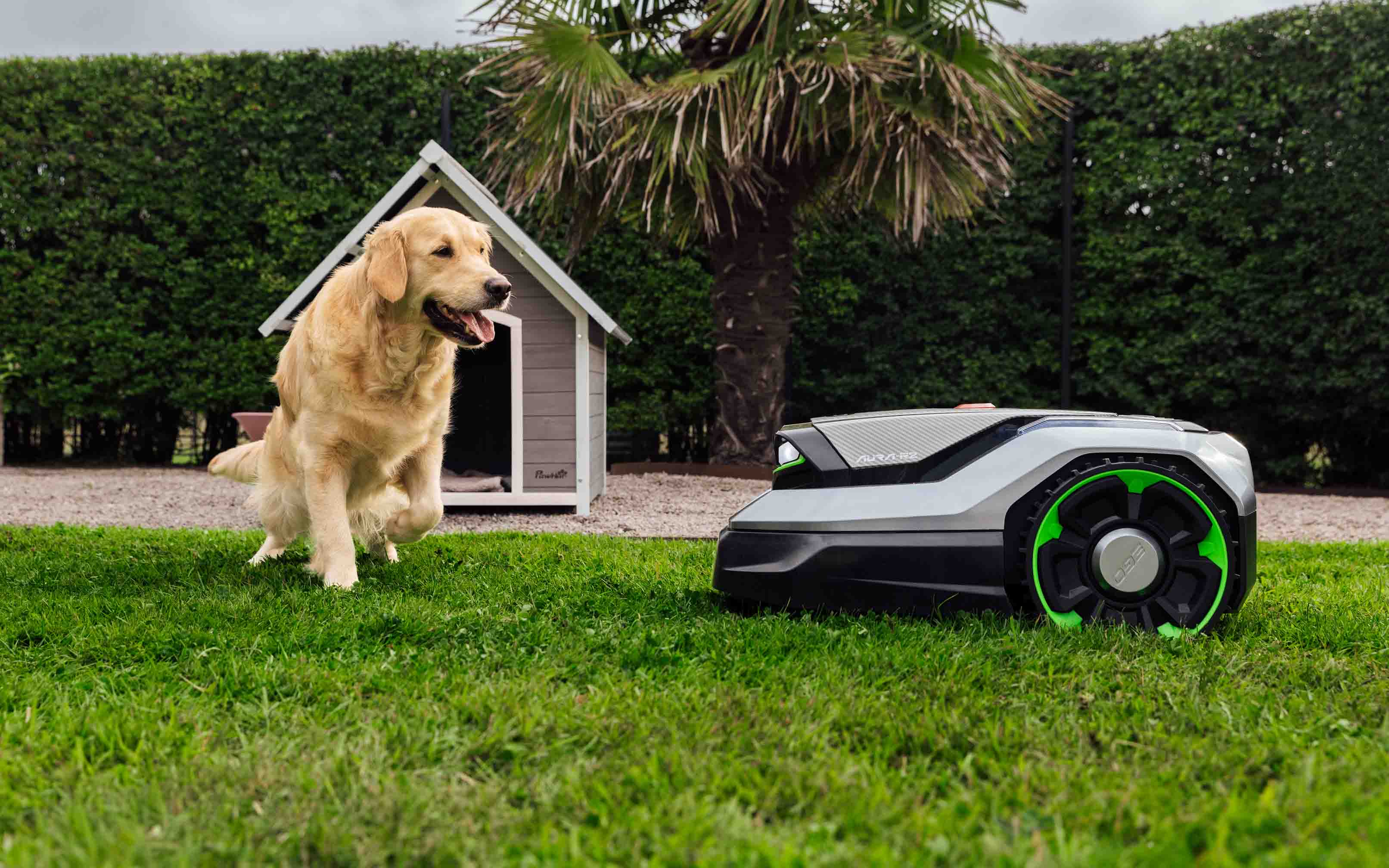 Wessels-Gartengeraete_Maehroboter_Entdecken_Banner_1