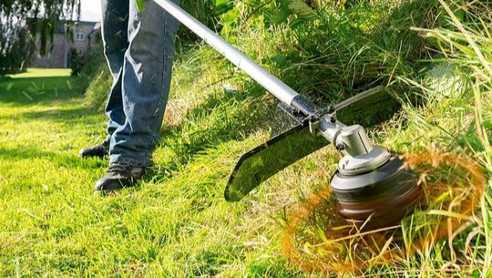 Bild von einem Mann der einen Rasen trimmt.