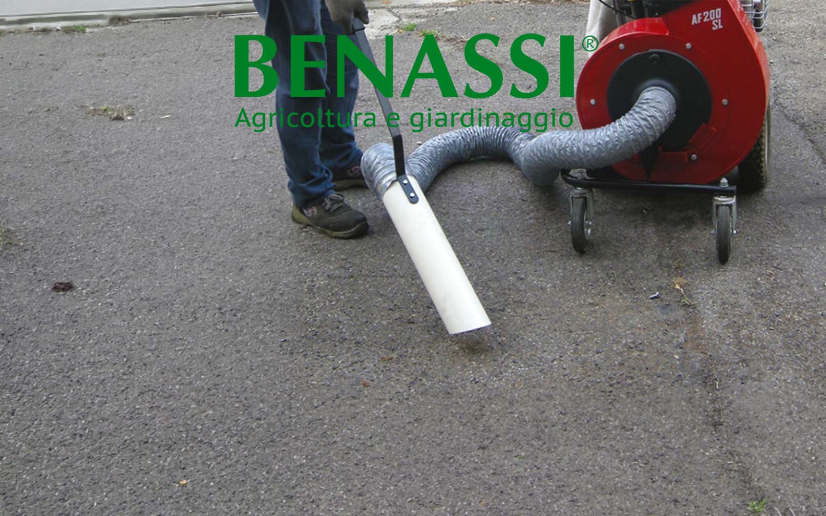 Benassi Banner