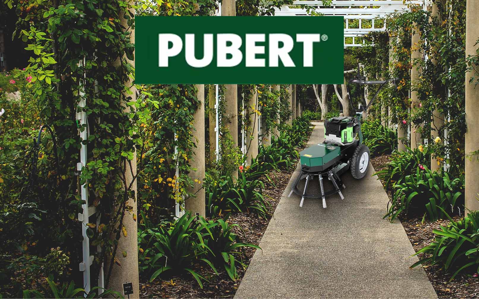 Pubert Banner