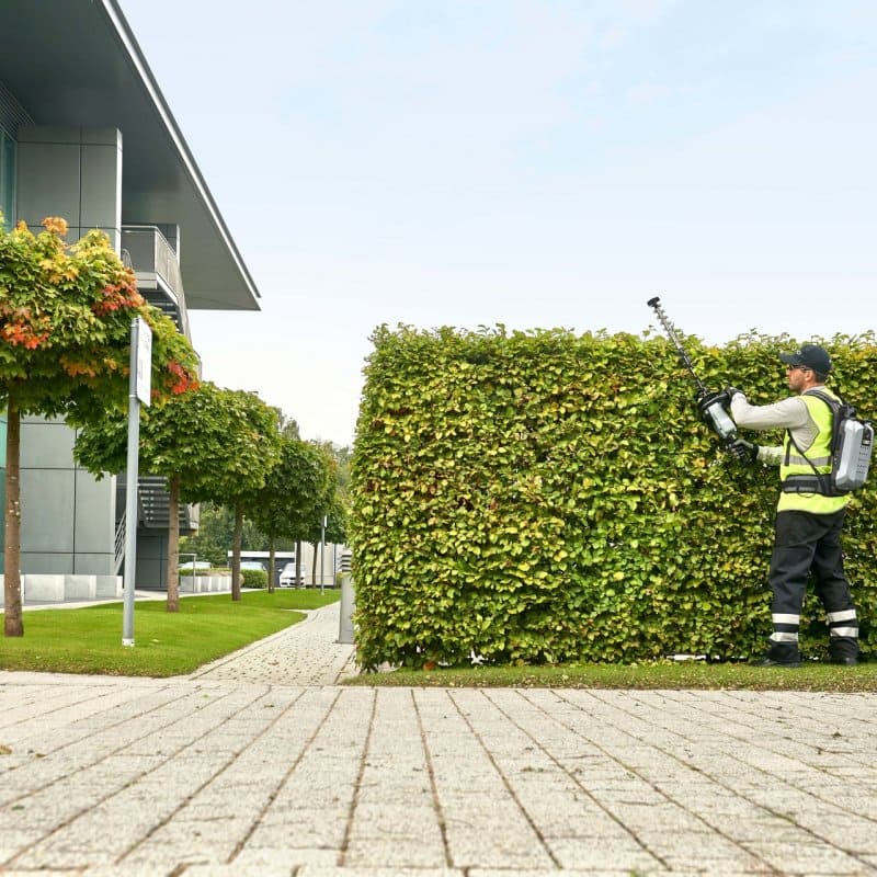 Mann schneidet Hecke